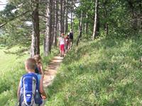 Wanderung am Rande des Föhrenwaldes am Eichkogel